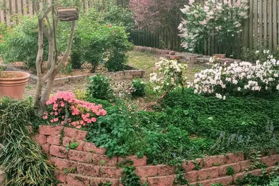 Image de Beautiful yard across from a park