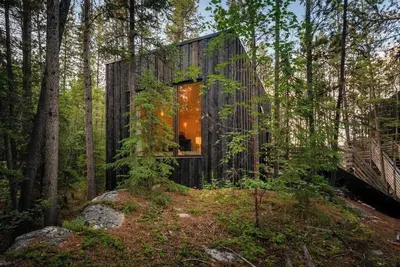 Image de Black Spruce - Green Door