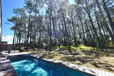Image de Nouvelle annonce /Villa contemporaine neuve avec piscine de 12x 3 vue Foret