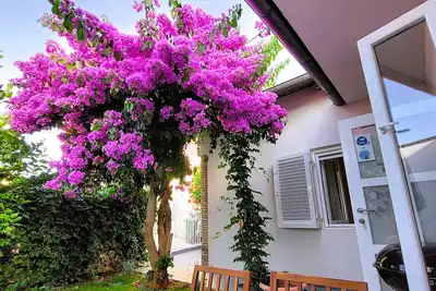 Image de Family vacation house near protected area of Kamenjak, with yard, WiFi, Air-con