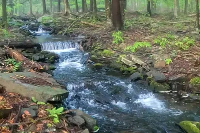 Image de Romantic Pocono Lake Chalet: Firepit, Stream, near Lake, pools & Pet-Friendly