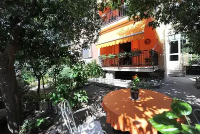 Image de Orange Dreams