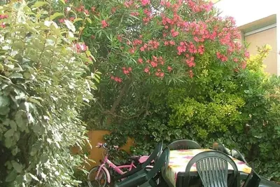 Image de Maison T3 avec jardin et piscine commune directement sur le port