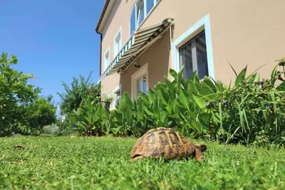 Image de Appartement de vacances avec internet, climatisation, terrasse et jardin dans un endroit calme