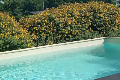 Image de A 5 min de Sarlat Gîte l'olivier avec jacuzzi, idéal pour 2/4 personnes