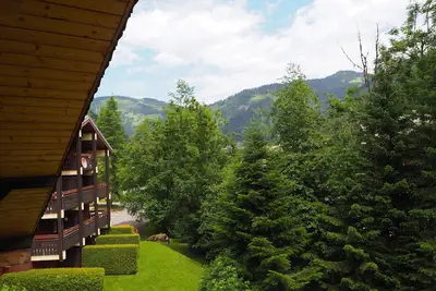 Image de Appartement 14 personnes dans une ancienne ferme rénovée - Chatel Reservation