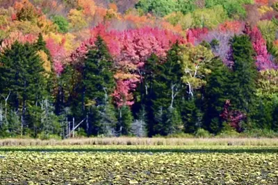 Image de Mt Holly Ski/lake house hideaway(Avail. Daily, weekends & seasonally Dec-April)