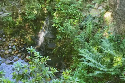 Image de 1660 Guest House; Waterfall, Creek, Large Deck, Fire Ring