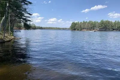 Image de Black Bear Lodge Bear Trap #1