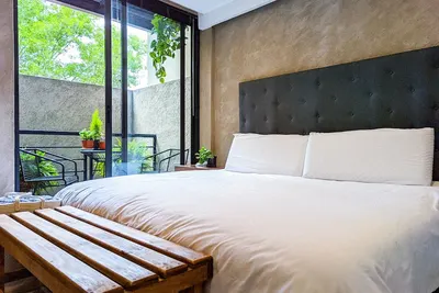 Image de Stunning Condesa Condo on Private St. Fast Wifi | Central to cafes & restaurants