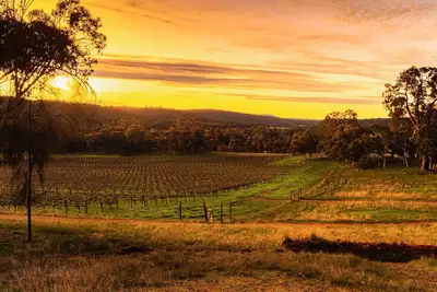 Image de Idyllic Farmhouse overlooking Vineyard on 160 acres