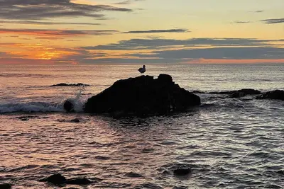 Image de Groovy escape steps from the beach, a must sea! by Starship Stays