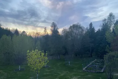 Image de Relaxing retreat in the woods