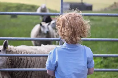 Image de Private, peaceful dog friendly farmhouse, near Stonehaven