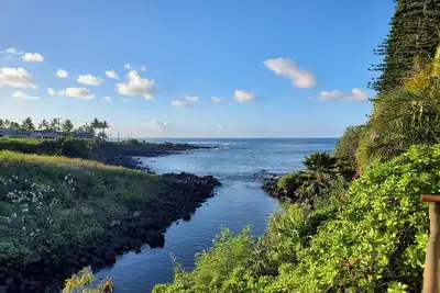 Image de Honeymoon-View Sea Turtles From Your Deck-Ac-Outdoor Shower-Free Access to Gym