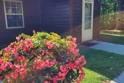 Image de Willow Oak Cabin- Cabin on the Chippewa Flowage within a Resort