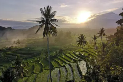 Image de A Romantic Getaway Villa With The Best View Of Bali