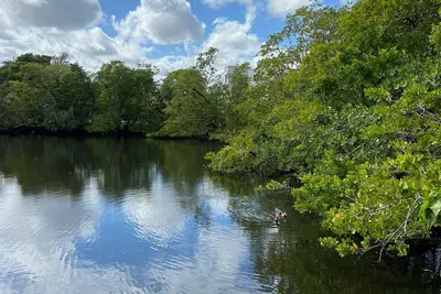 Image de Hidden Lagooon at the Breezes - 5 Min away from Wilton Drive!