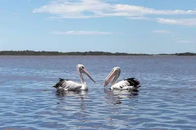 Image de Amazing Ansons Bay remote paradise for the family in the Bay of Fires area.