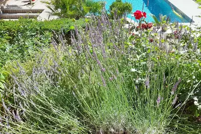 Image de Gîte les jasminsde Sallèles
