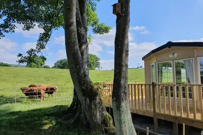 Image de Gaerhyfryd Static Caravan & family friendly site