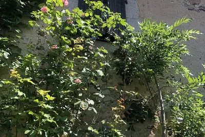 Image de Jolie maison de campagne