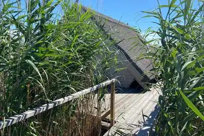 Image de Reed hut / pile dwelling on Lake Neusiedl