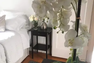 Image de Adorable Garden Cottage ~ A Lovely Escape with Private Enclosed Gardens