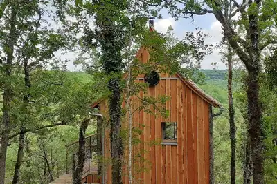 Image de cabane en bois dans les arbres