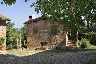 Image de Apartment/ Flat - Sovicille