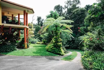 Image de Studio in the Rainforest