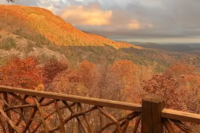 Image de Bearadise - A picture perfect view!