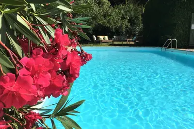 Image de Coup de coeur! Charme, nature et grande piscine