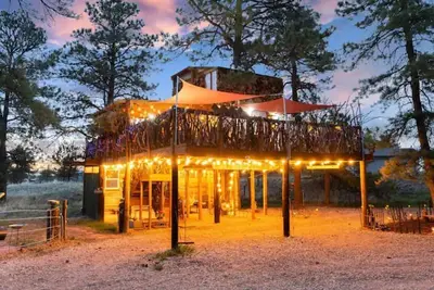 Image de Treehouse Magic at Houses High Treesort