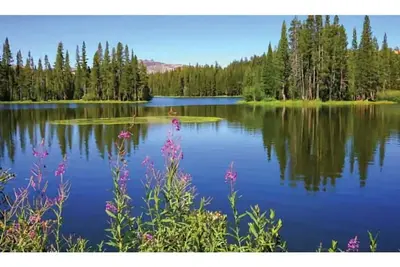 Image de Serene Lakes Cabin