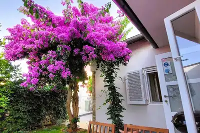 Image de Maison de vacances Premantura pour 1 - 4 personnes avec 2 chambres Ă coucher - Maison de vacances