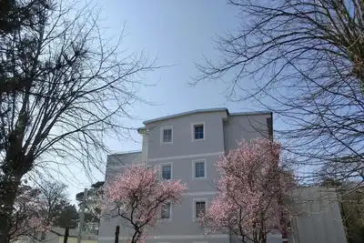 Image de Vacation apartment Lp7 \"Seestern\" - 3-room apartment (approx. 92 m²) for 5 persons - on the 2nd floor in