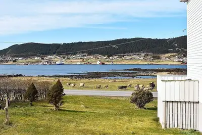 Image de Maison de vacances pour 8 a Leinøy-By Traum