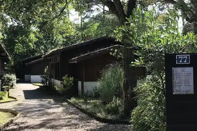Image de Chalet sous les pins