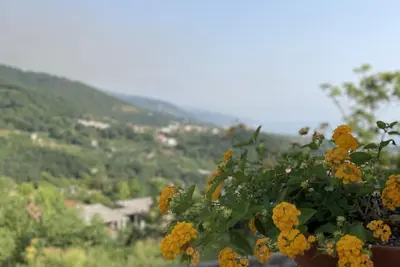 Image de Appartement complet équipé de tout le confort pour des vacances reposantes