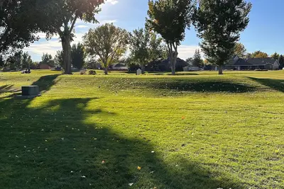 All of Paradise Tee’s