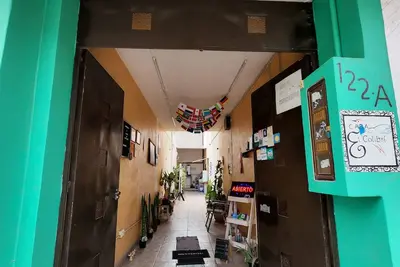 Image de Hummingbird House