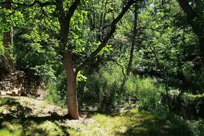 Image de Remodeled home in the woods, just past city limits. With horse pasture nearby!
