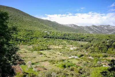 Image de Appartement Nature (41971-A1) - Slime