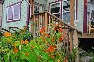 Image de Visit and relax in Tenakee Springs