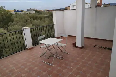 Image de greyhound house