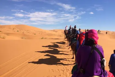 Image de Desert Safari Camp