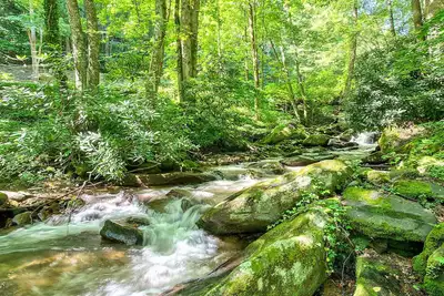 Image de Immerse Yourself with Calming Sounds of the Creek. Your Perfect Hideaway Awaits!