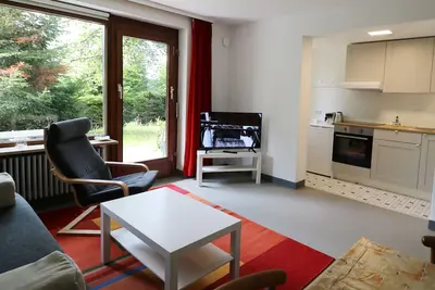 Image de Vacation apartment/apartment for 4 guests with 42m² in Feldberg (Black Forest) (168190)