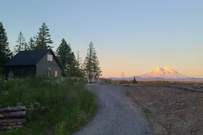 Image de Stunning Views! ~Tahoma Ridge Cottage~ 35 miles to Mt. Rainier! Enjoy every moment!